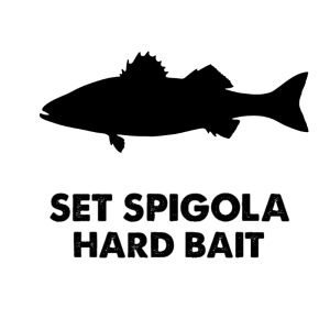 Set spinning alla spigola Hardbait
