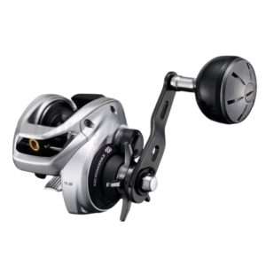 Mulinello Shimano Tranx 301HG | Prezzo Speciale - Fishproject